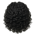 Water Wave Half Wig