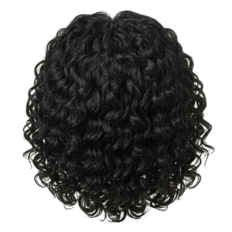 Water Wave Half Wig
